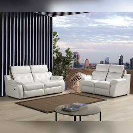 Salon 2 places fixes cuir - Continental 2