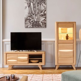 Meuble TV 2 portes - OLONNE 2
